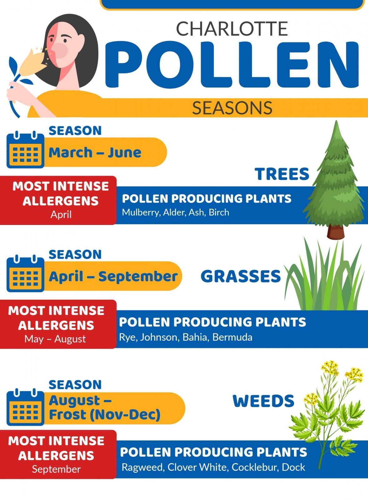 When Does Pollen Season End In Charlotte Nc Carolina Asthma Allergy