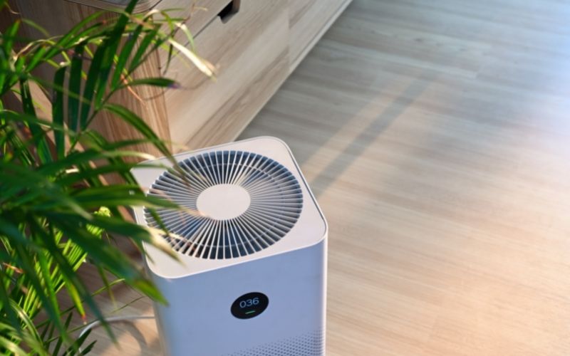 The Best Air Purifiers for Asthma & Allergies CAAC