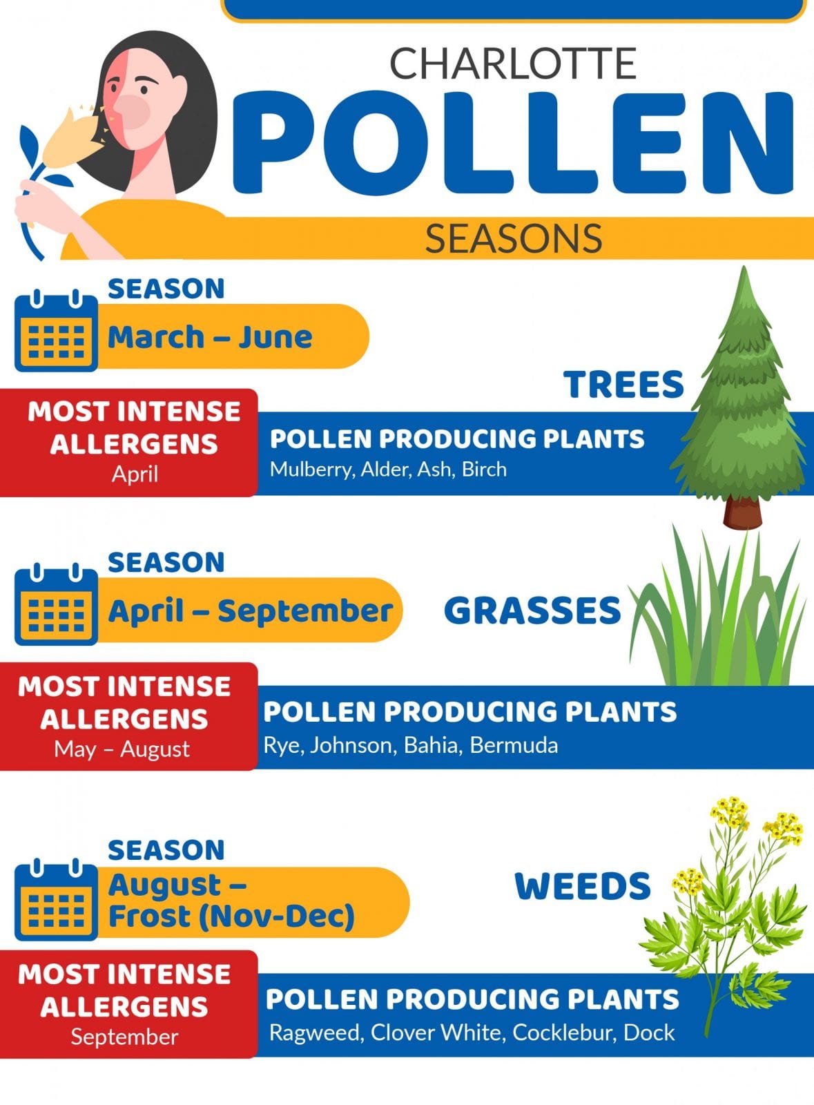 Charlotte_NC-pollen_season-scaled