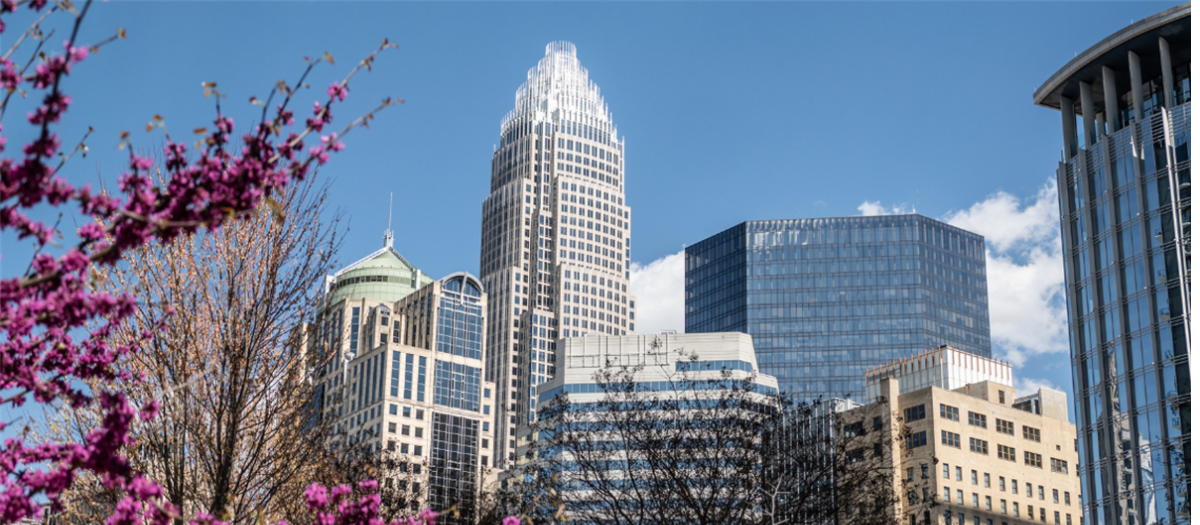 Why Charlotte Allergies Feel Stronger in 2026