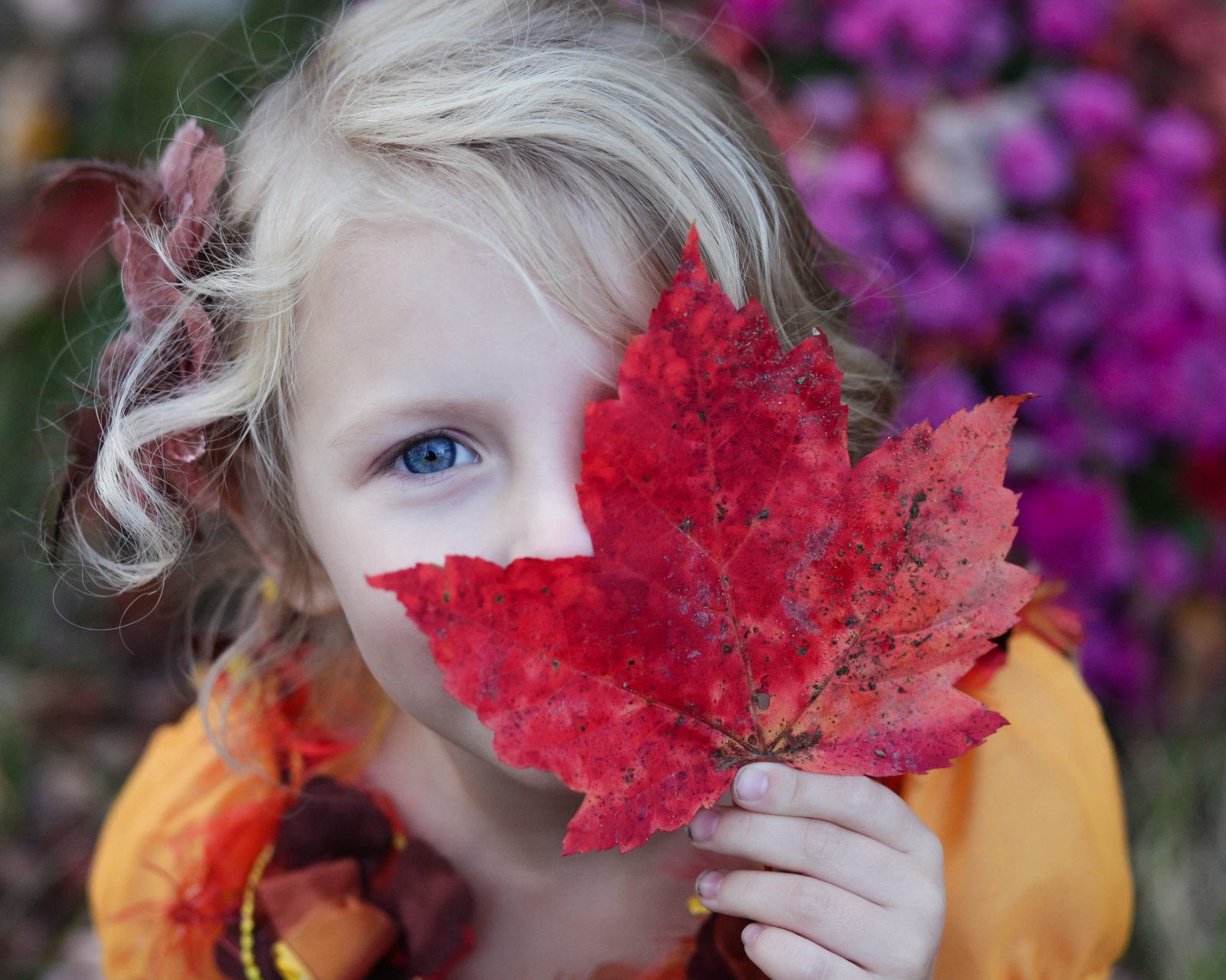 Don’t Let Allergies Keep you Indoors this Fall