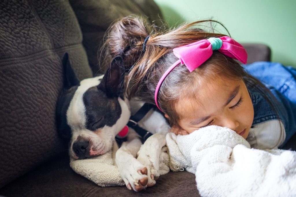 puppy and pet allergy free girl napping on couch